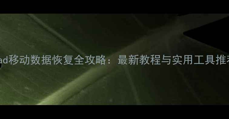 iPad移动数据恢复全攻略最新教程与实用工具推荐