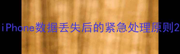 iPhone数据丢失后的紧急处理原则