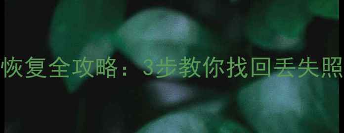 图片 iPodClassic数据恢复全攻略：3步教你找回丢失照片、视频和文档1