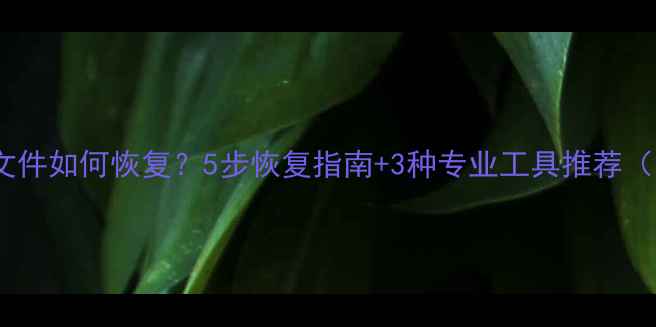 i管家删除的文件如何恢复5步恢复指南3种专业工具推荐附操作教程