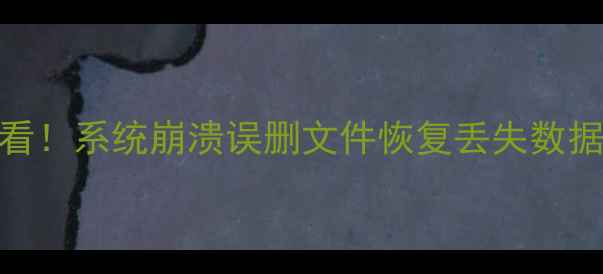 笔记本数据恢复必看系统崩溃误删文件恢复丢失数据的方法附教程