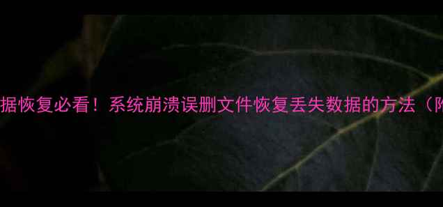 图片 ✅笔记本数据恢复必看！系统崩溃误删文件恢复丢失数据的方法（附教程）✅2