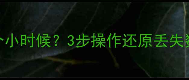 图片 ✨Excel表格恢复几个小时候？3步操作还原丢失数据！手把手教学💻1