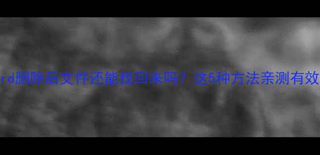 图片 ✨Word删除后文件还能找回来吗？这5种方法亲测有效！📌