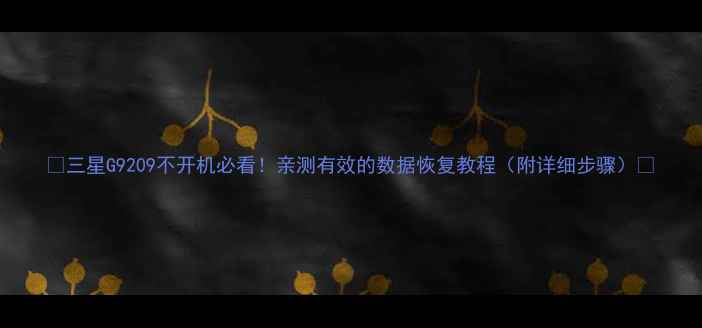图片 ✨三星G9209不开机必看！亲测有效的数据恢复教程（附详细步骤）🔧