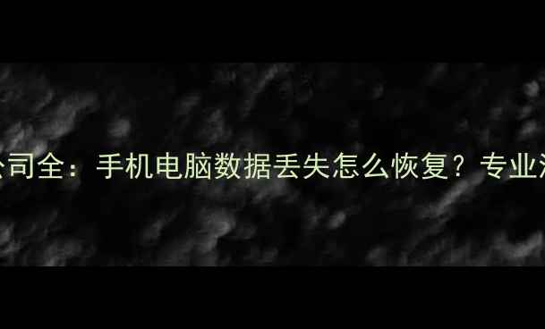 图片 ✨上海数据恢复公司全：手机电脑数据丢失怎么恢复？专业流程+案例分享✨2