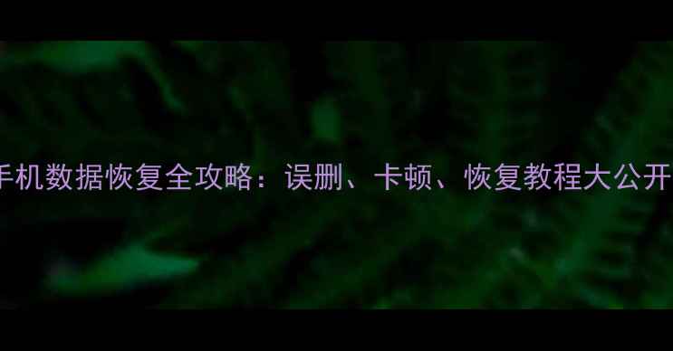 图片 ✨中兴手机数据恢复全攻略：误删、卡顿、恢复教程大公开！📱💾2