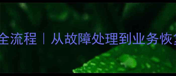 图片 ✨企业数据恢复全流程｜从故障处理到业务恢复的完整指南🔍1