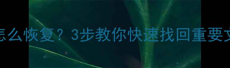 图片 ✨电脑手机硬盘数据丢失怎么恢复？3步教你快速找回重要文件（附免费工具推荐）✨