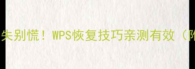 电脑文件丢失别慌WPS恢复技巧亲测有效附详细教程