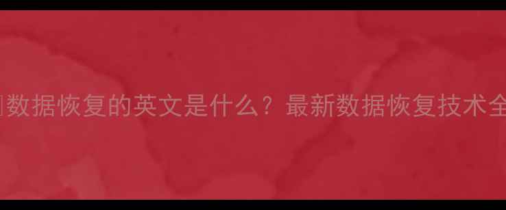 图片 ❶数据恢复的英文是什么？最新数据恢复技术全2