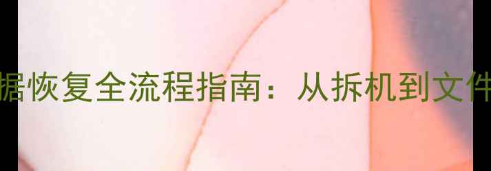 图片 一加5T进水后数据恢复全流程指南：从拆机到文件找回的7步操作1
