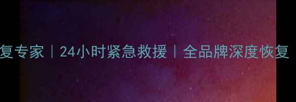 图片 上海U盘数据恢复专家｜24小时紧急救援｜全品牌深度恢复｜专业恢复方案