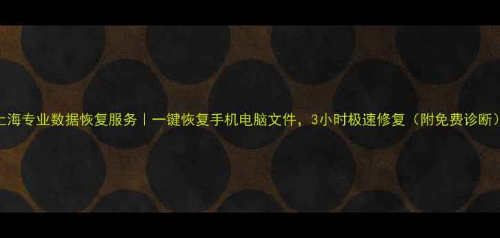 图片 上海专业数据恢复服务｜一键恢复手机电脑文件，3小时极速修复（附免费诊断）