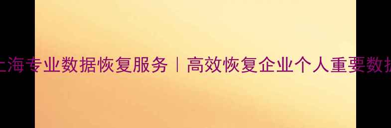 上海专业数据恢复服务高效恢复企业个人重要数据