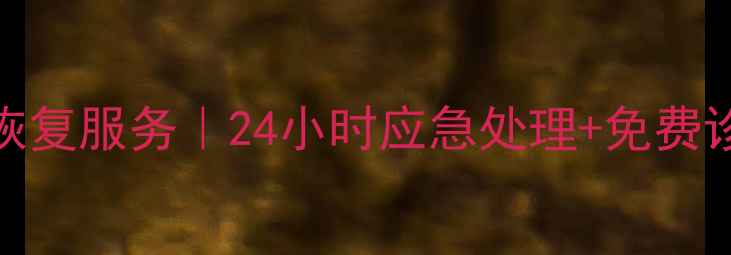 图片 上海专业硬盘数据恢复服务｜24小时应急处理+免费诊断｜数据拯救专家