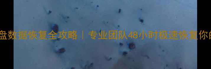 图片 上海固态硬盘数据恢复全攻略｜专业团队48小时极速恢复你的重要文件1