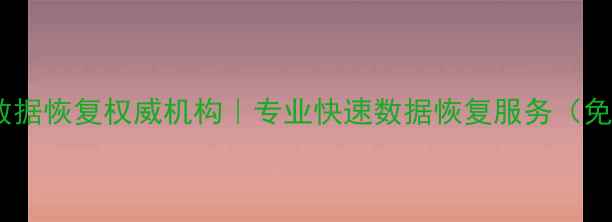 图片 上海手机数据恢复权威机构｜专业快速数据恢复服务（免费诊断）2