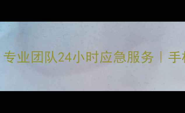 图片 上海黄浦电脑数据恢复｜专业团队24小时应急服务｜手机硬盘U盘文件秒级恢复1