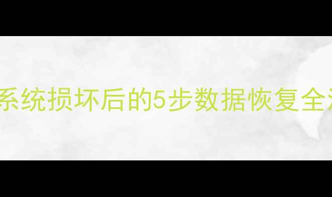 图片 专业指南ExFAT文件系统损坏后的5步数据恢复全流程（含工具实测）