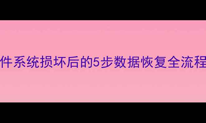 图片 专业指南ExFAT文件系统损坏后的5步数据恢复全流程（含工具实测）1
