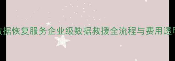 图片 专业数据恢复服务企业级数据救援全流程与费用透明指南