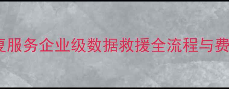 图片 专业数据恢复服务企业级数据救援全流程与费用透明指南1