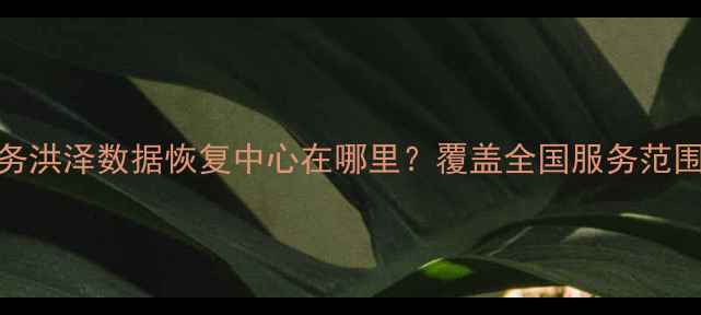 图片 专业数据恢复服务洪泽数据恢复中心在哪里？覆盖全国服务范围与快速修复方案