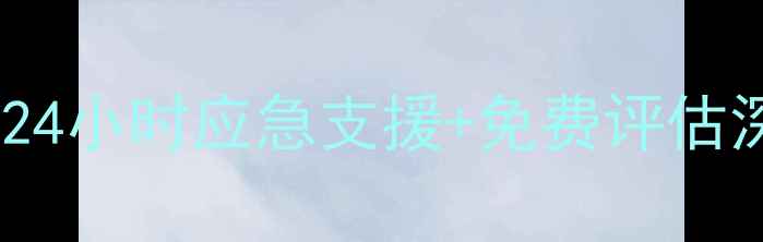 图片 专业数据恢复服务｜昱辰科技24小时应急支援+免费评估深度手机电脑硬盘恢复全流程1