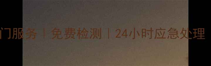 图片 专业苹果数据恢复上门服务｜免费检测｜24小时应急处理｜官方认证技术团队1