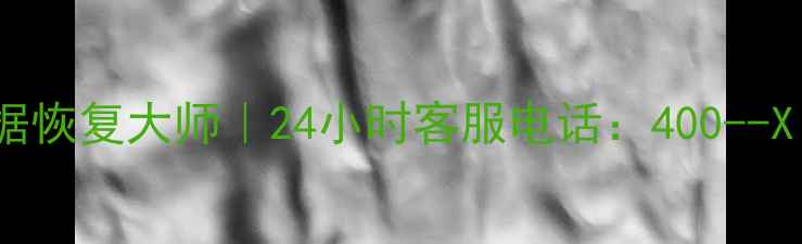 图片 专业高效文件数据恢复大师｜24小时客服电话：400--X｜数据拯救专家1