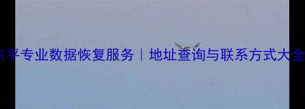 图片 东平专业数据恢复服务｜地址查询与联系方式大全1