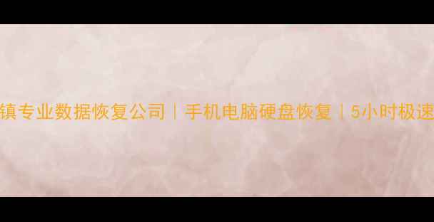 图片 东莞清溪镇专业数据恢复公司｜手机电脑硬盘恢复｜5小时极速上门服务