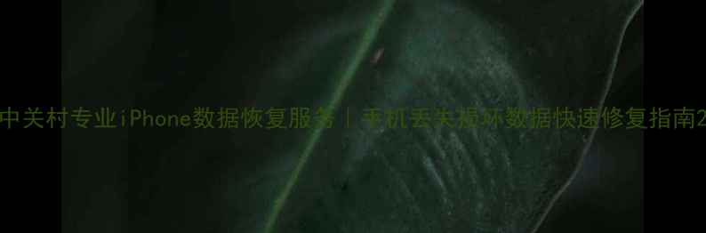 图片 中关村专业iPhone数据恢复服务｜手机丢失损坏数据快速修复指南2