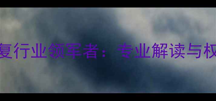 图片 中国数据恢复行业领军者：专业解读与权威服务指南