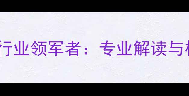 中国数据恢复行业领军者专业解读与权威服务指南