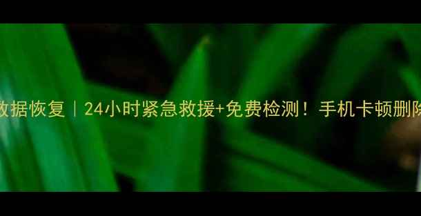 中山小榄手机数据恢复24小时紧急救援免费检测手机卡顿删除黑屏必看教程