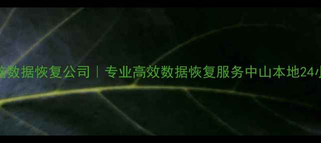 图片 中山电脑数据恢复公司｜专业高效数据恢复服务中山本地24小时急修
