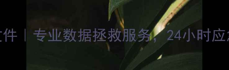 图片 丰台区电脑数据恢复文件｜专业数据拯救服务，24小时应急修复（含免费检测）