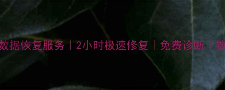 临沂专业硬盘数据恢复服务2小时极速修复免费诊断数据不丢不扣费