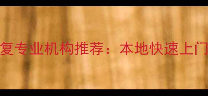 图片 丹阳U盘数据恢复专业机构推荐：本地快速上门服务+成功案例