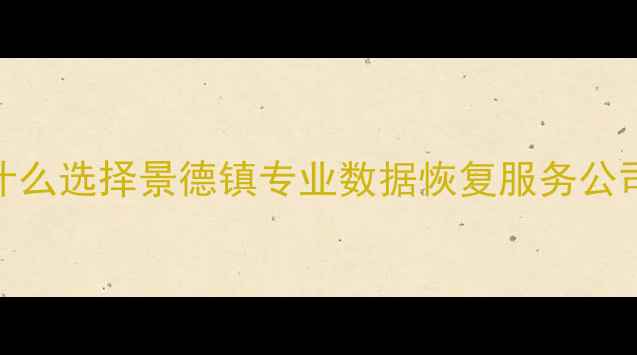 图片 为什么选择景德镇专业数据恢复服务公司？
