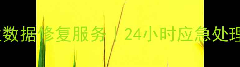 图片 乌鲁木齐数据恢复工程师｜专业数据修复服务｜24小时应急处理｜免费诊断（电话：0991-X）1