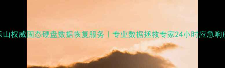 图片 乐山权威固态硬盘数据恢复服务｜专业数据拯救专家24小时应急响应