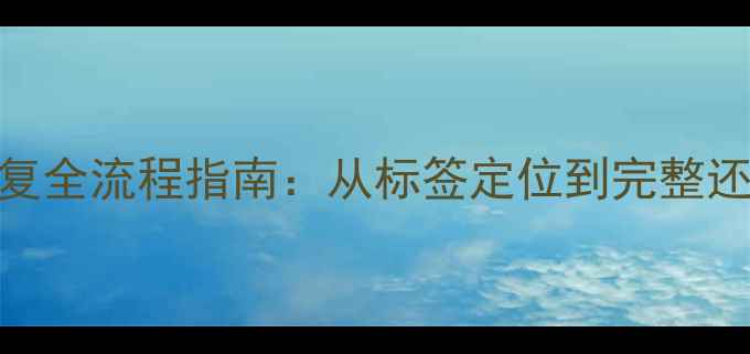 图片 云存储标签数据恢复全流程指南：从标签定位到完整还原的7步解决方案1