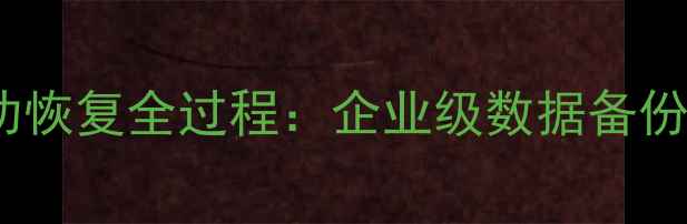 京都动画原画数据成功恢复全过程企业级数据备份与灾难恢复方案实战