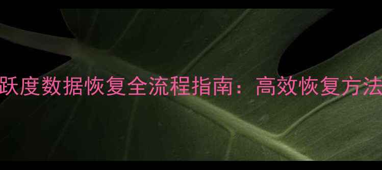 图片 企业微信活跃度数据恢复全流程指南：高效恢复方法与预防策略