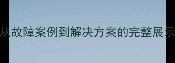 企业级数据恢复何洛宣传片深度从故障案例到解决方案的完整展示含故障案例技术优势行业应用