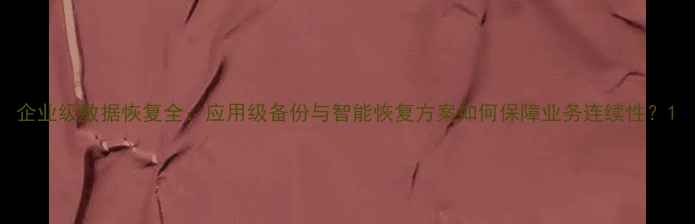 图片 企业级数据恢复全：应用级备份与智能恢复方案如何保障业务连续性？1