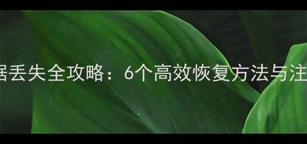图片 优盘数据丢失全攻略：6个高效恢复方法与注意事项1